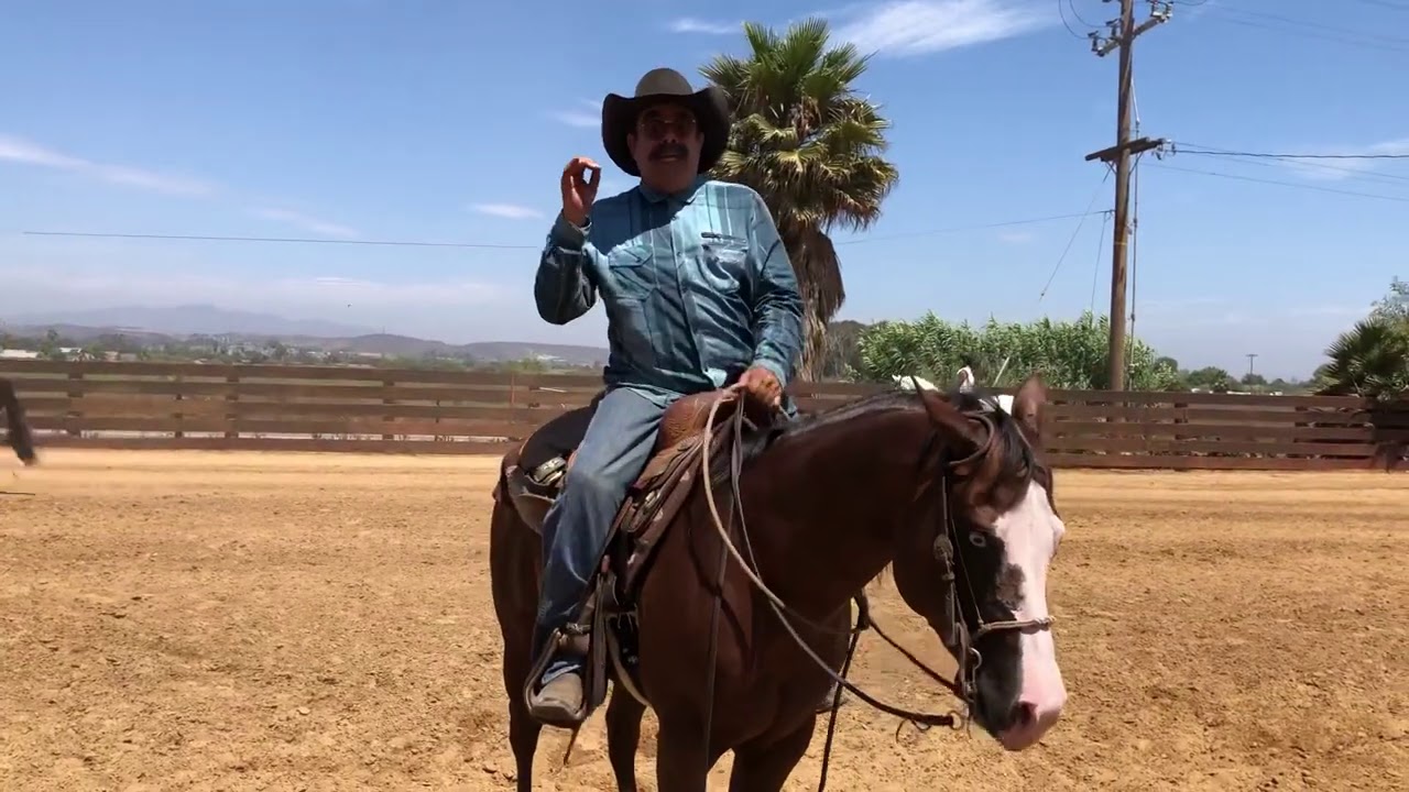 Dos RIENDAS