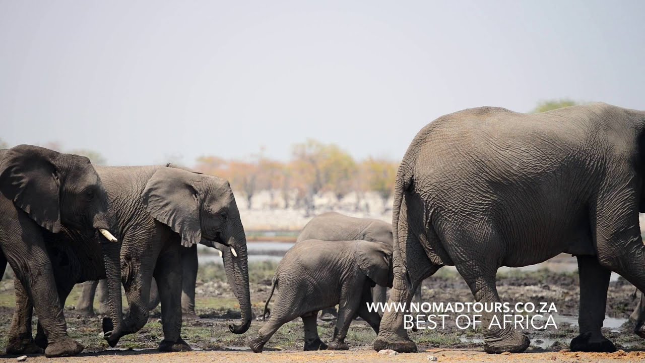 Best of Africa | Nomad Adventure Tours