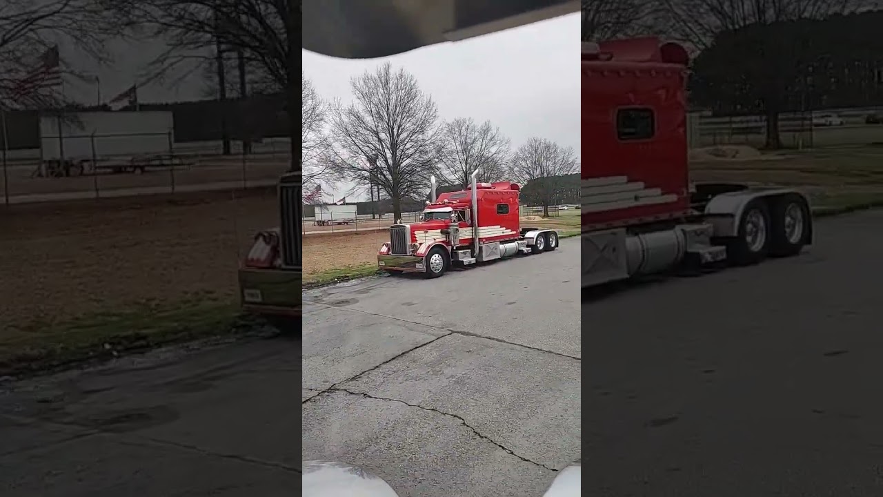 Beautiful Pete big bunk