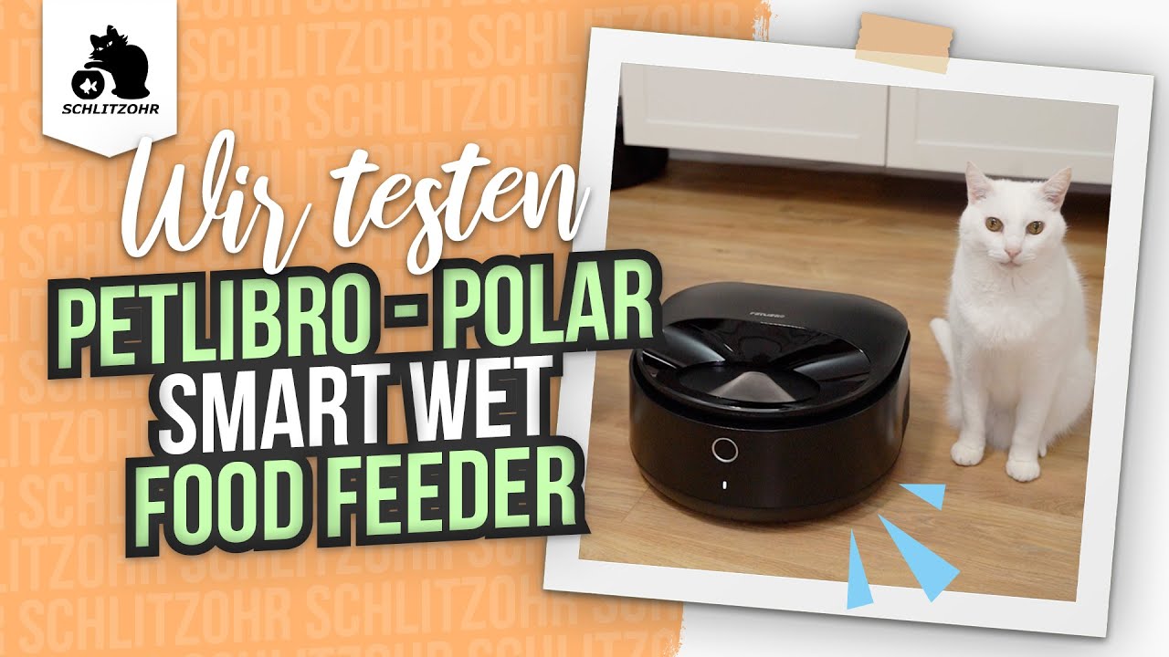 Petlibro Polar Smart Wet Food Feeder - Nassfutterautomat f&uuml;r Katzen im Test! Katze smart f&uuml;ttern!