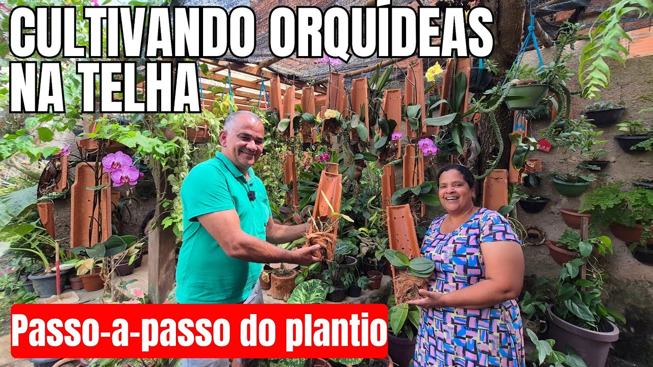 ORQUÍDEAS NA TELHA: PRÁTICA  E PERFEITA PARA QUEM TEM POUCO ESPAÇO | ORQUIDÁRIO EM TELHA #diy  