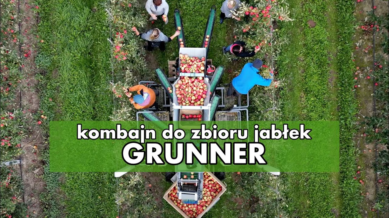Kombajn do zbioru jabłek - Grunner Aplider. Polscy sadownicy stworzyli innowacyjny produkt!