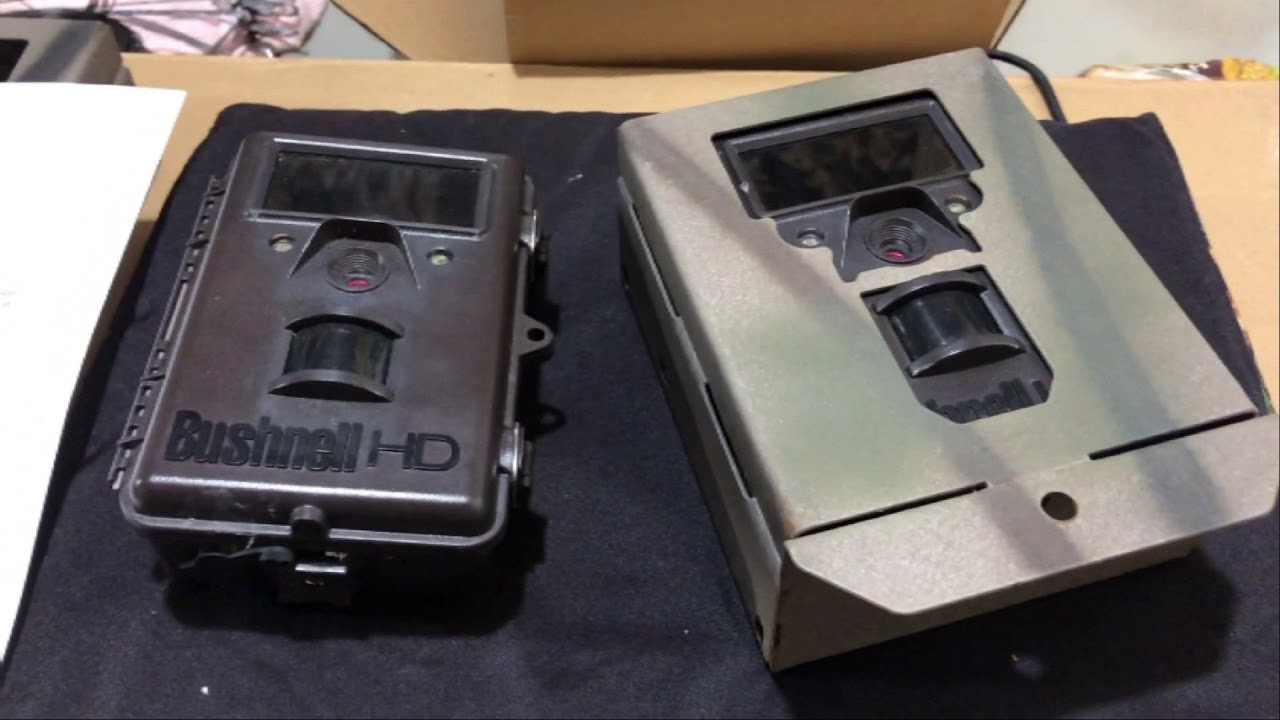 Bushnell Trophy Cam HD trail camera review with proof