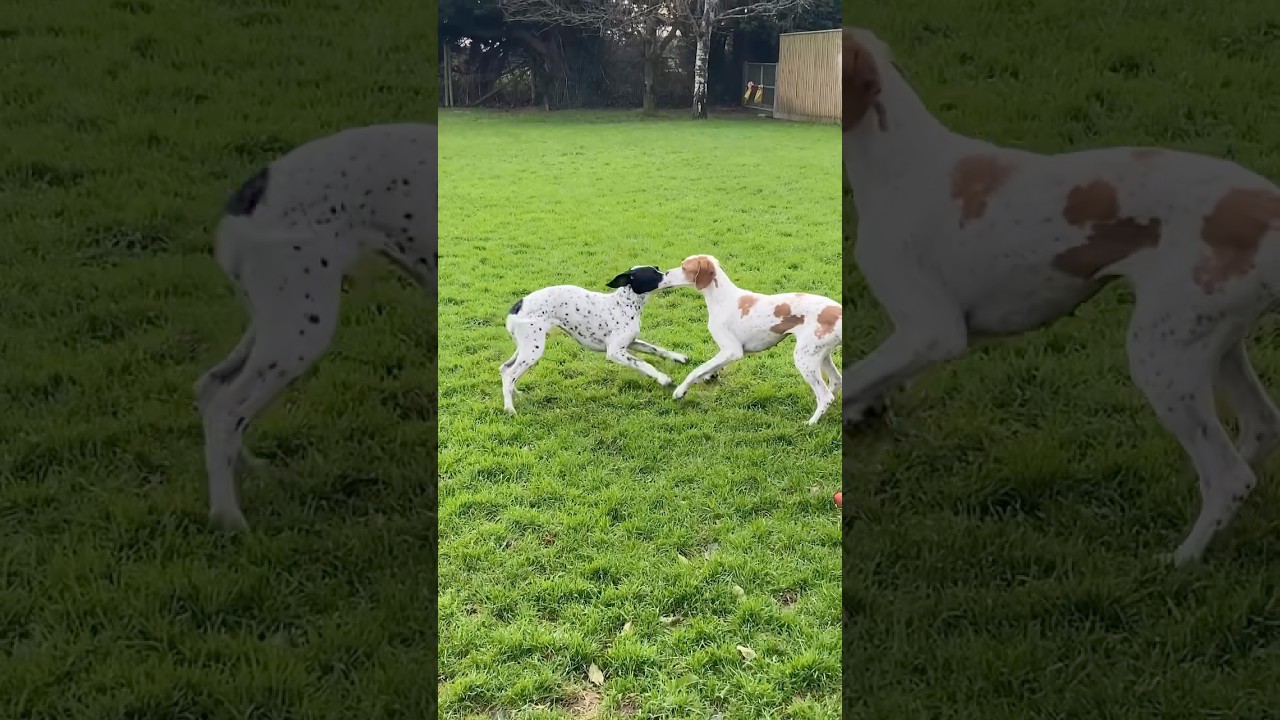 Playtime with mum 