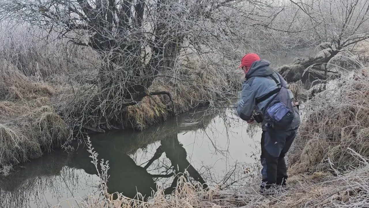 🎣 PESCUIT la CLEAN în SEZONUL RECE - Am REȚINUT DOI PEȘTI și i-am pus pe GRĂTAR ❄️