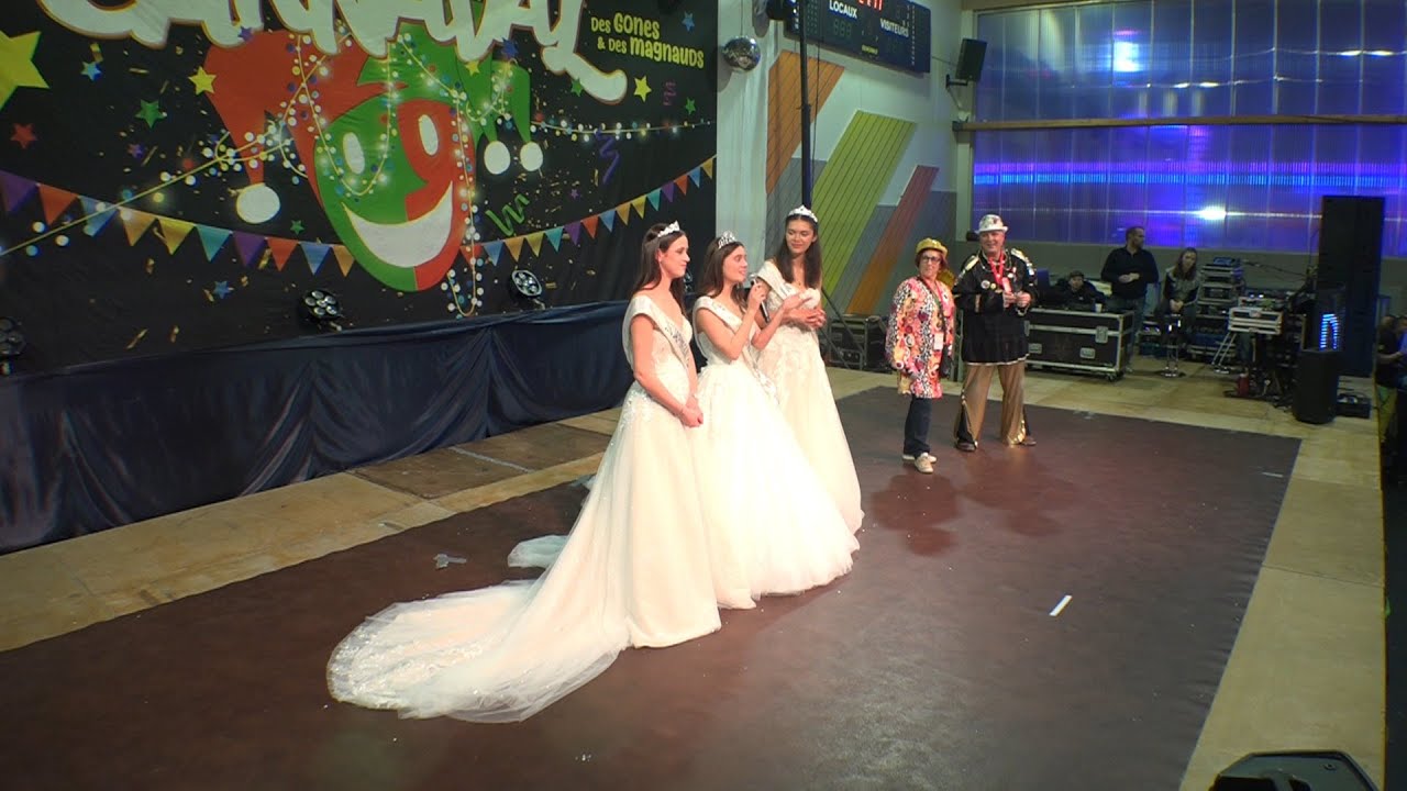 resumé photos des3 jours du CARNAVAL DE SAINT PIERRE DE CHANDIEU