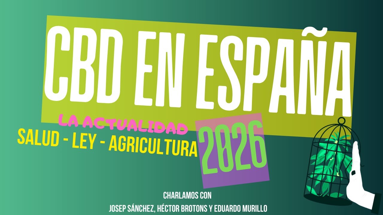 La realidad actual del CBD en Espa&ntilde;a: salud, ley y cultivo