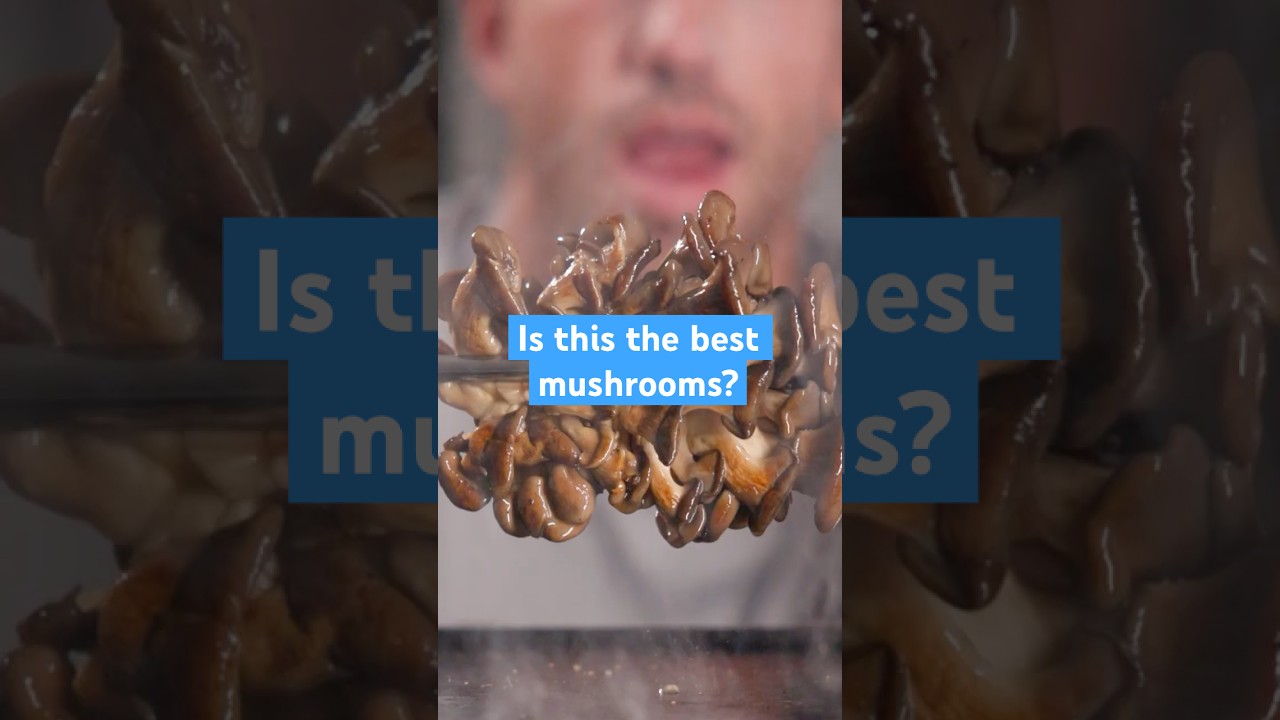 Этот гриб на вкус ужасно похож на мясо #веганский #грибы #веганский #рецепт #еда #вешенка