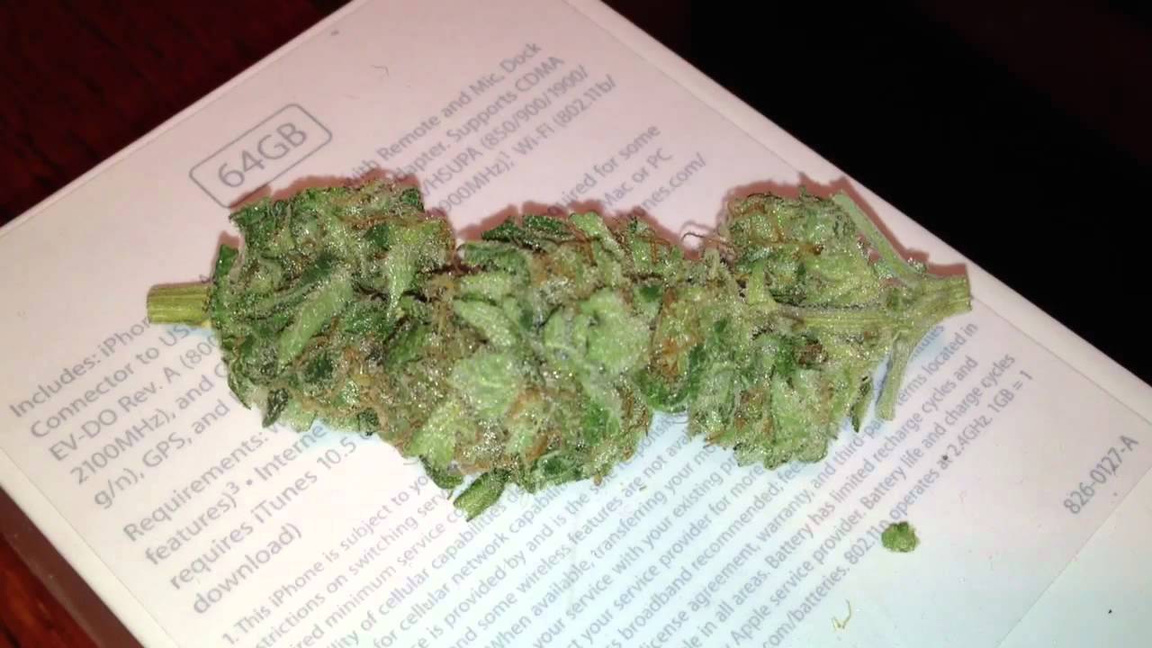 Numbnutts420 conf cheeze