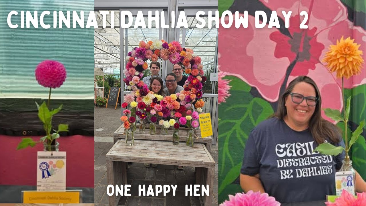 Day 2 Cincinnati Dahlia show 2025