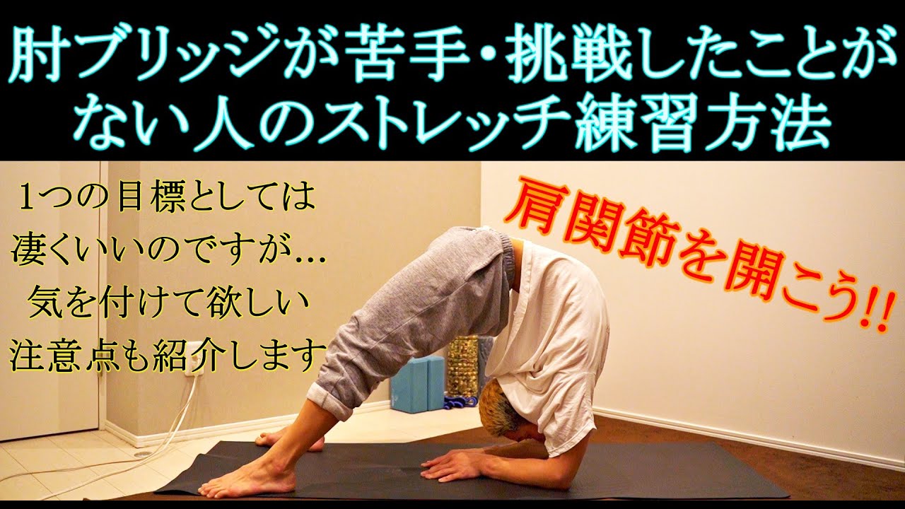 【初級】肘ブリッジ(ピンチャ)をしたことがない・苦手な人向けの練習方法