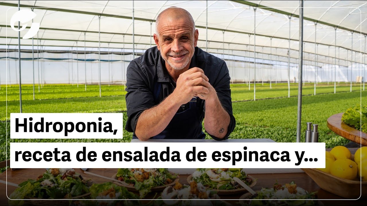 DEL CAMPO A TU MESA -  Episodio 1: HIDROPONIA | Por Christian Petersen