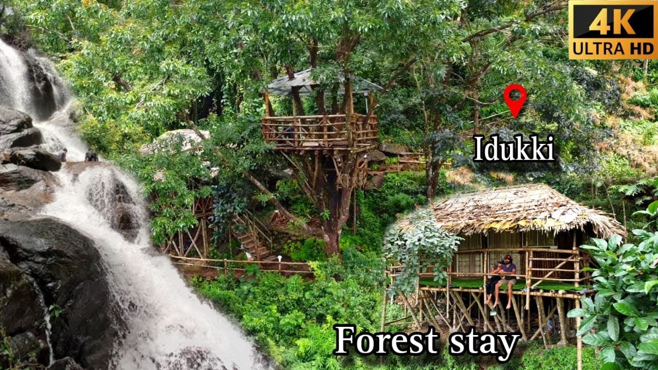 Bamboo house ഇടുക്കി ജില്ല kerala forest stay sunset valley  yengadapora 4k