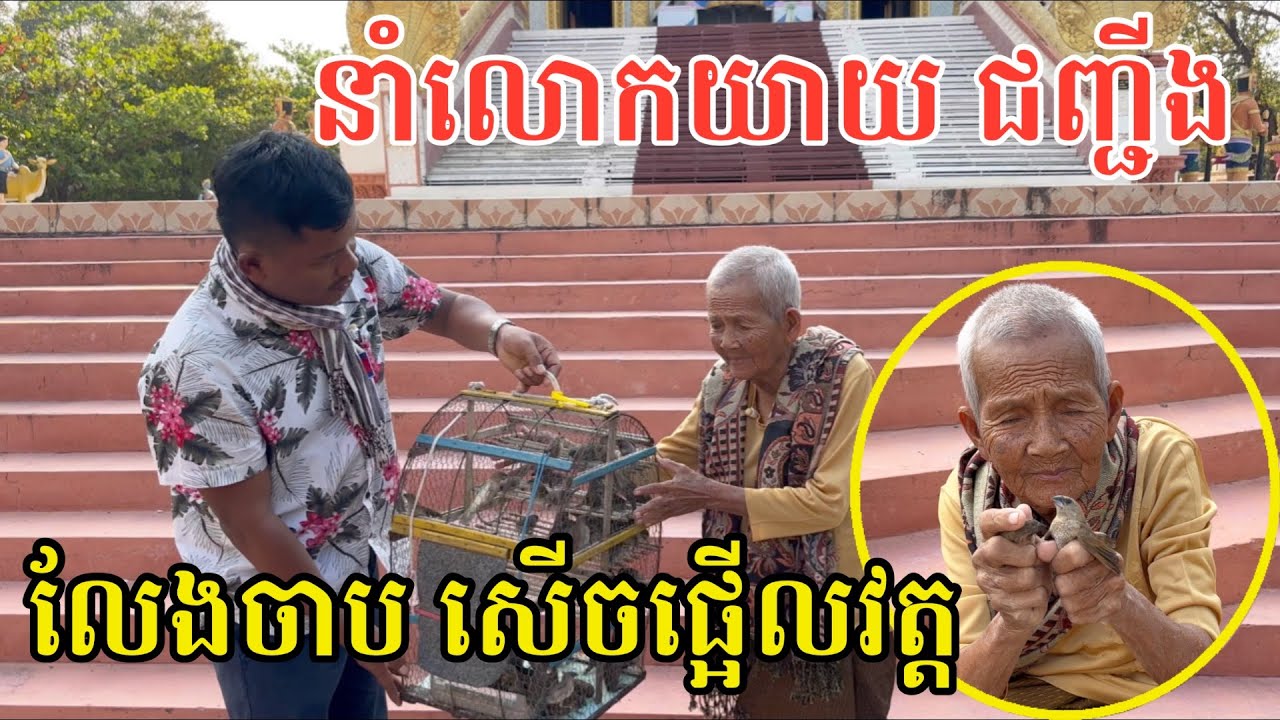 #2940 នាំលោកយាយ ជញ្ជីង មកលែងចាប សើចផ្អើលវត្ត | សម្បត្តិជន 