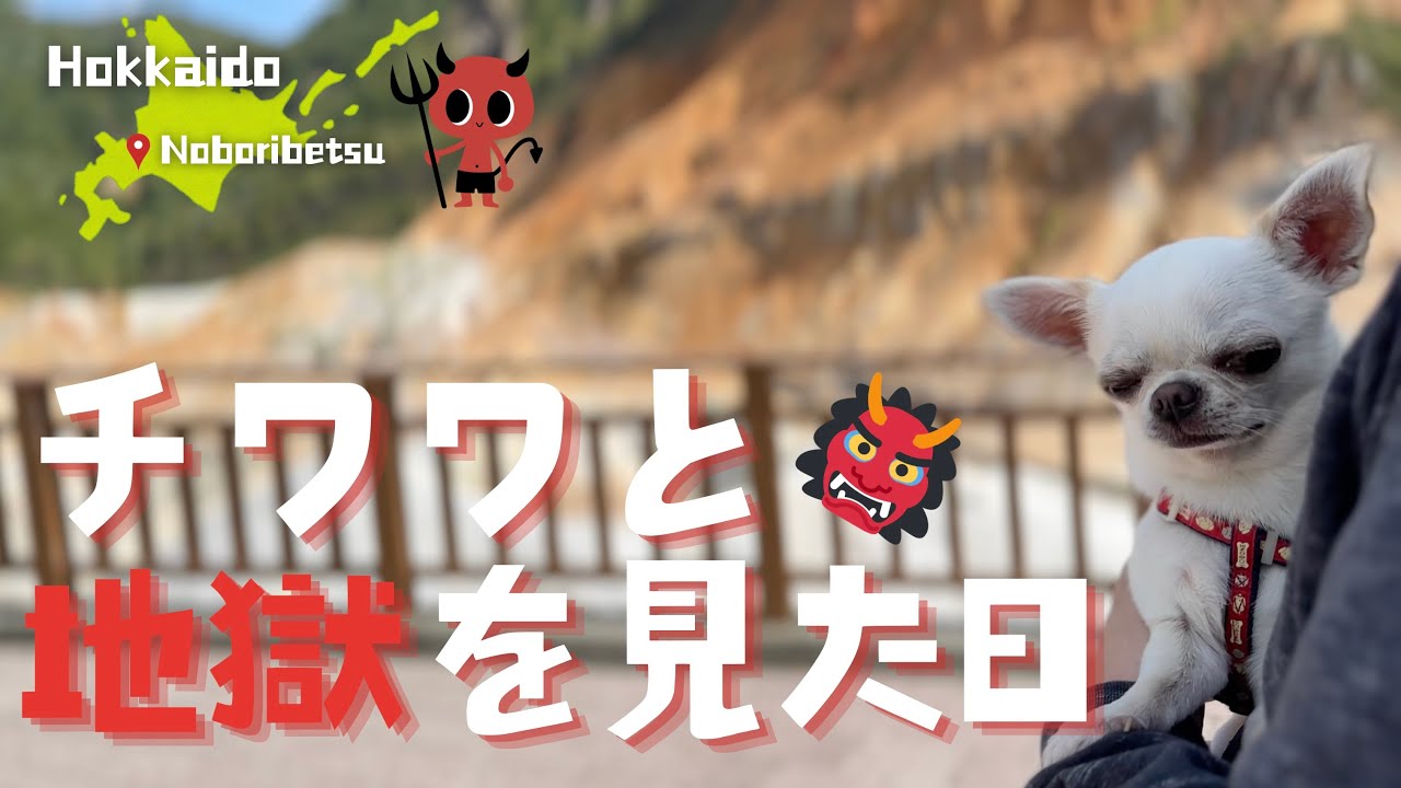 【チワワと地獄の散歩⁉️】キャンピングカー洗車／カナディアンフライドチキン登別地獄谷ハイキング