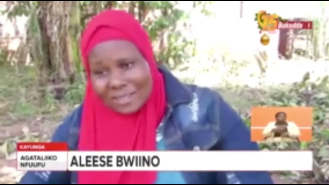 OMUGOLE EYANOBYE N'EBINTU, ALEESE BWIINO, OMUSAJJA YALI AYAGALA KUNZIBA