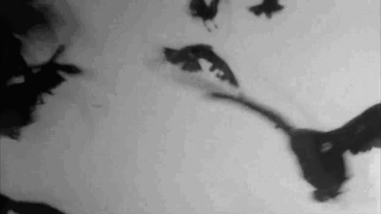 mr. grieves - pixies (slowed + reverb)
