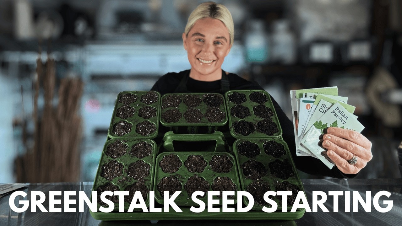 Посев рассады в Greenstalk | Январь 2026 (НОВИНКИ И ИЗБРАННОЕ!)