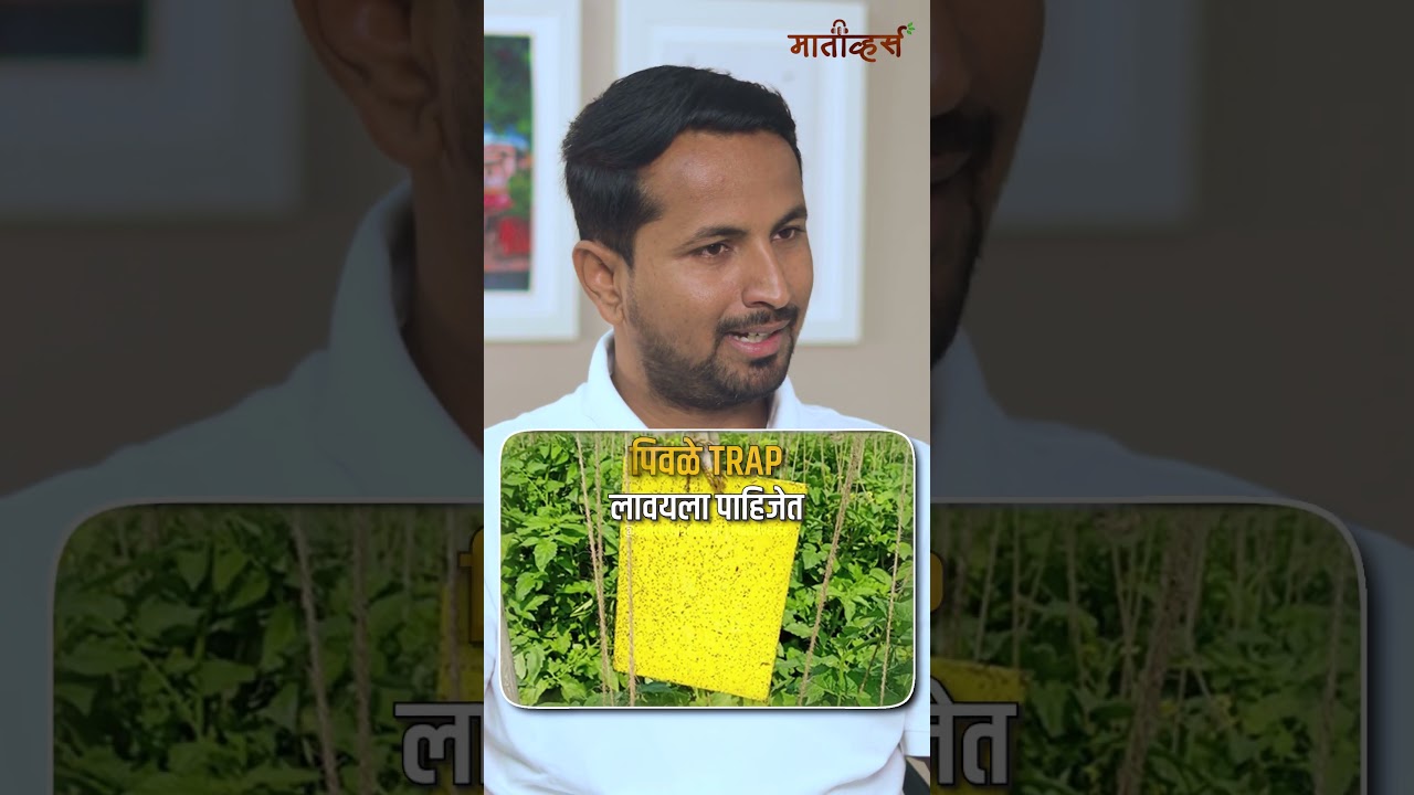 चांगल्या भविष्यासाठी शेतीत बदल करा 🌱#shorts #indianfarmer