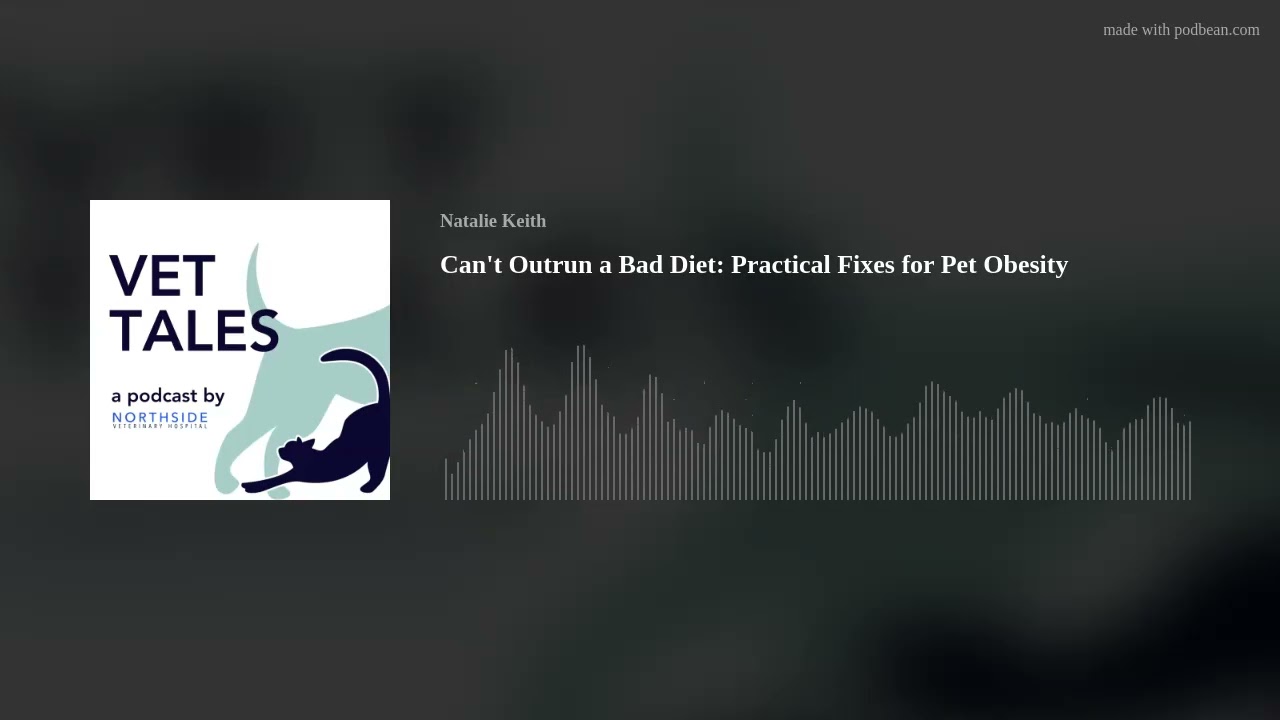 Can't Outrun a Bad Diet: Practical Fixes for Pet Obesity