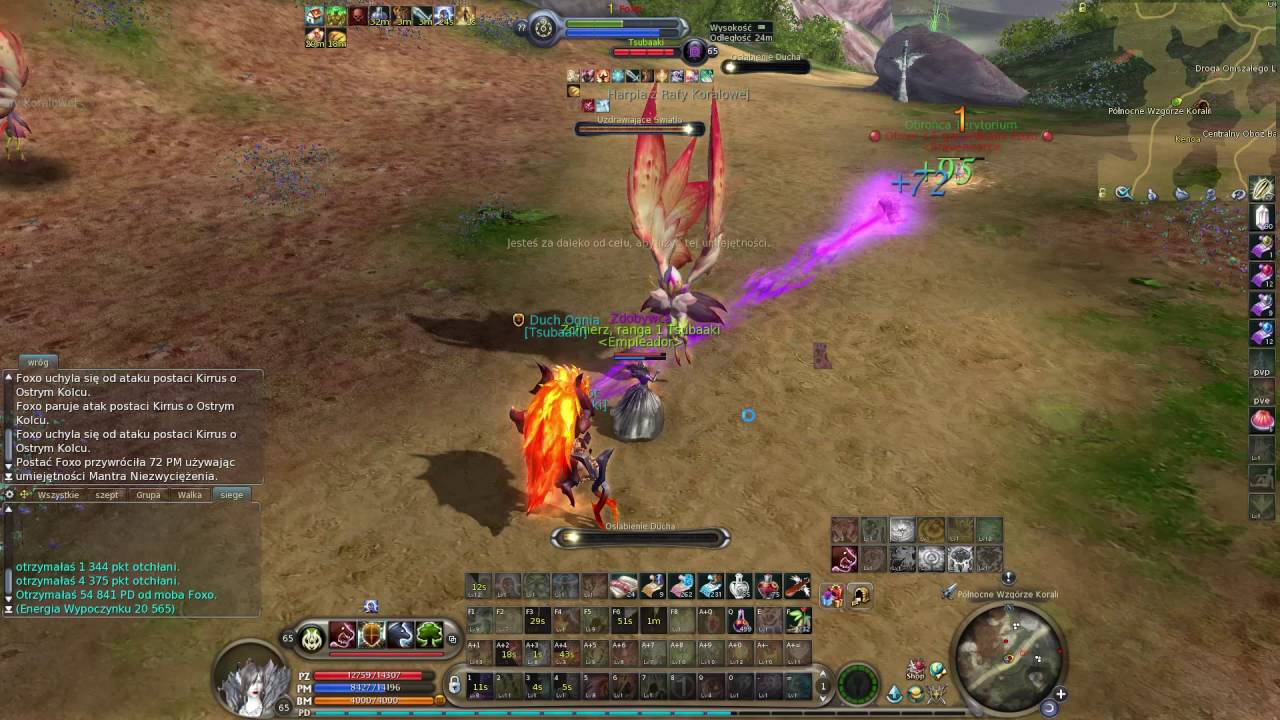 Aion Spiritmaster pvp #4 
