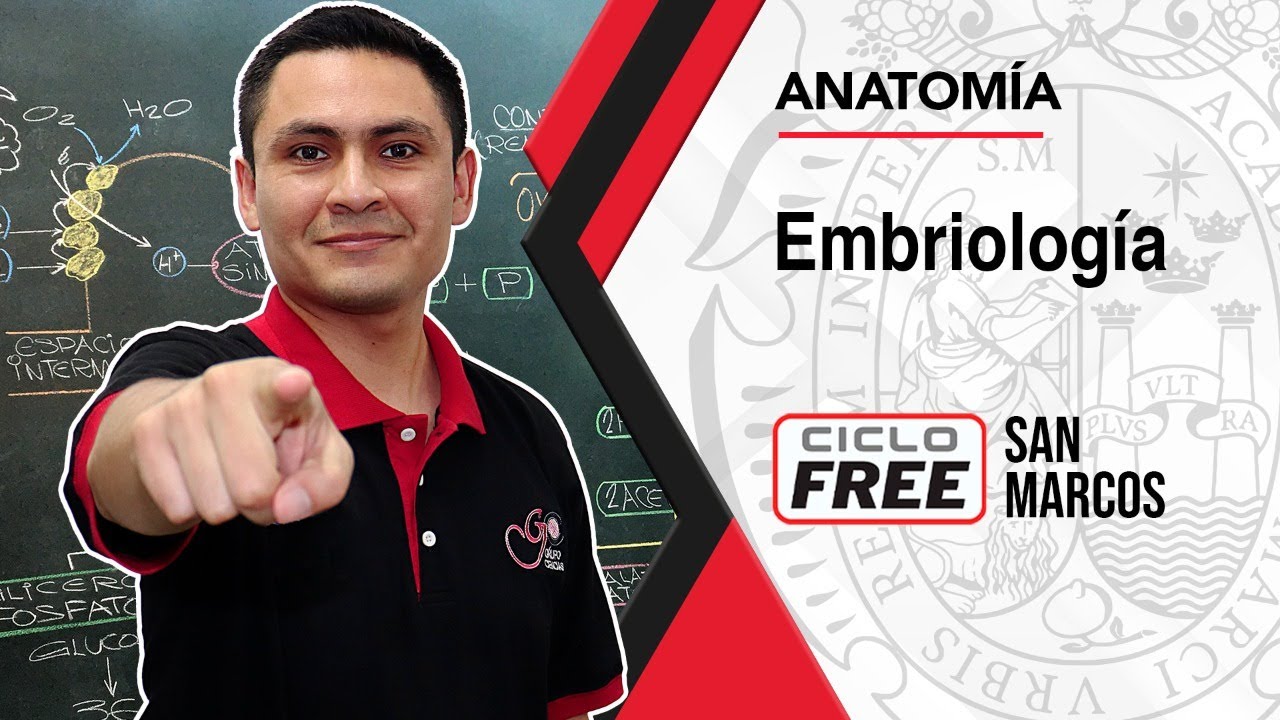 ANATOMÍA - Embriología  [CICLO FREE]