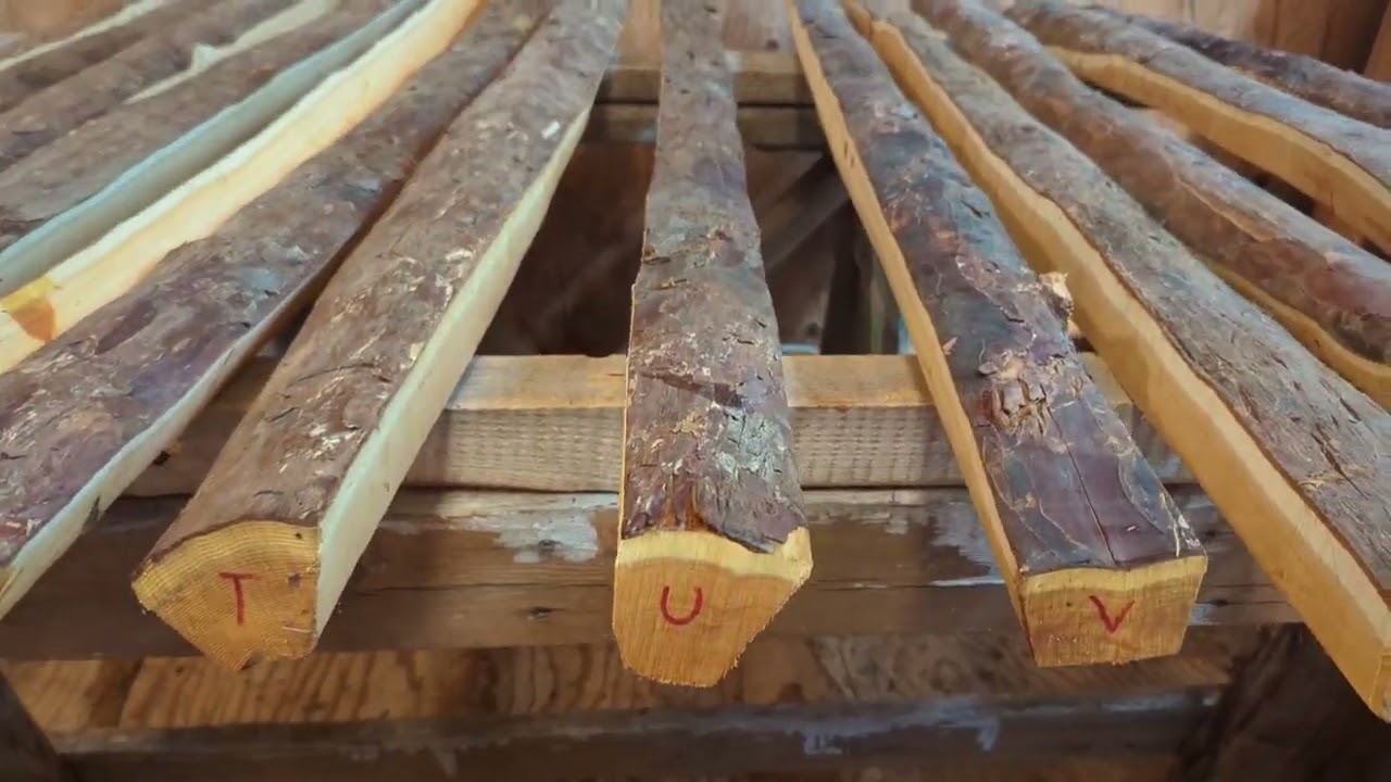 Yew flatbow staves