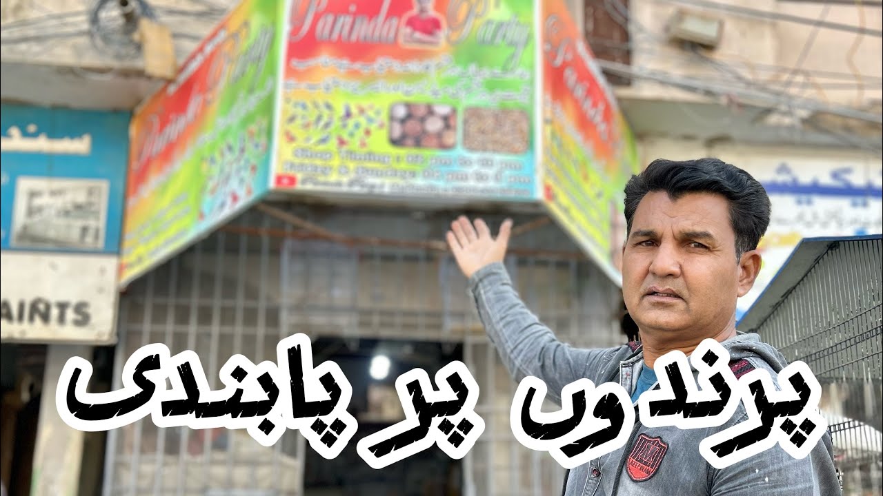Parindon Par Pabandi? | Parinda Party & Others | 11/02/26 | North Karachi