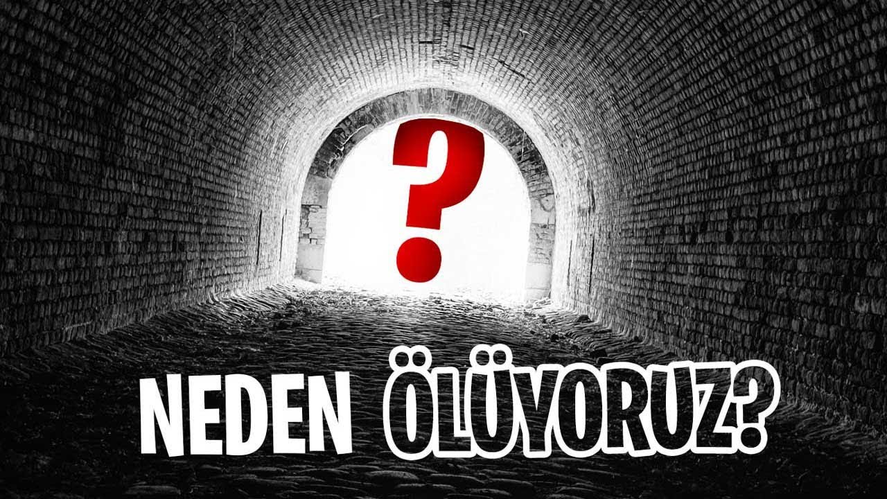 Ölüm Nedir? Neden Ölüyoruz? Evrimde Ölüm Neden Elenmedi?