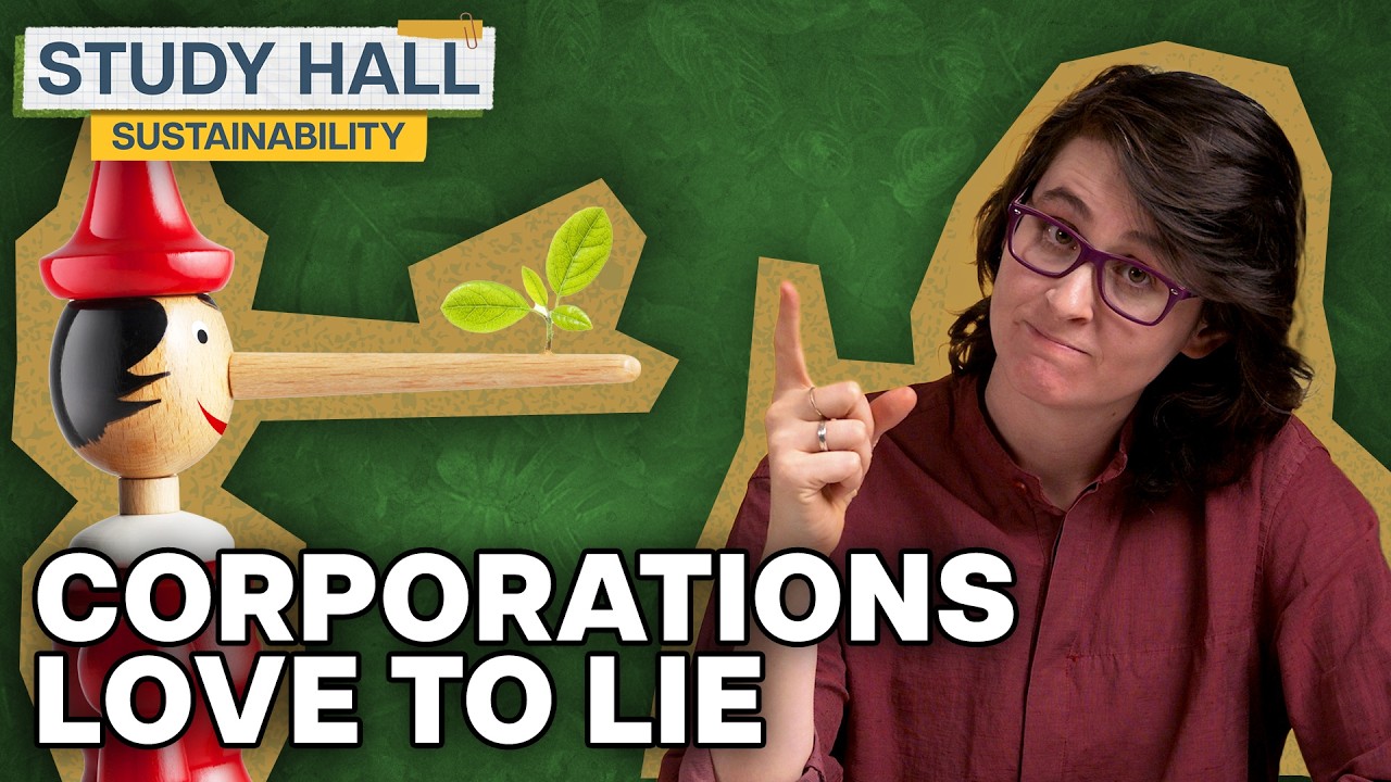 How to Spot Greenwashing | Sustainability 18 of 31 | Study Hall