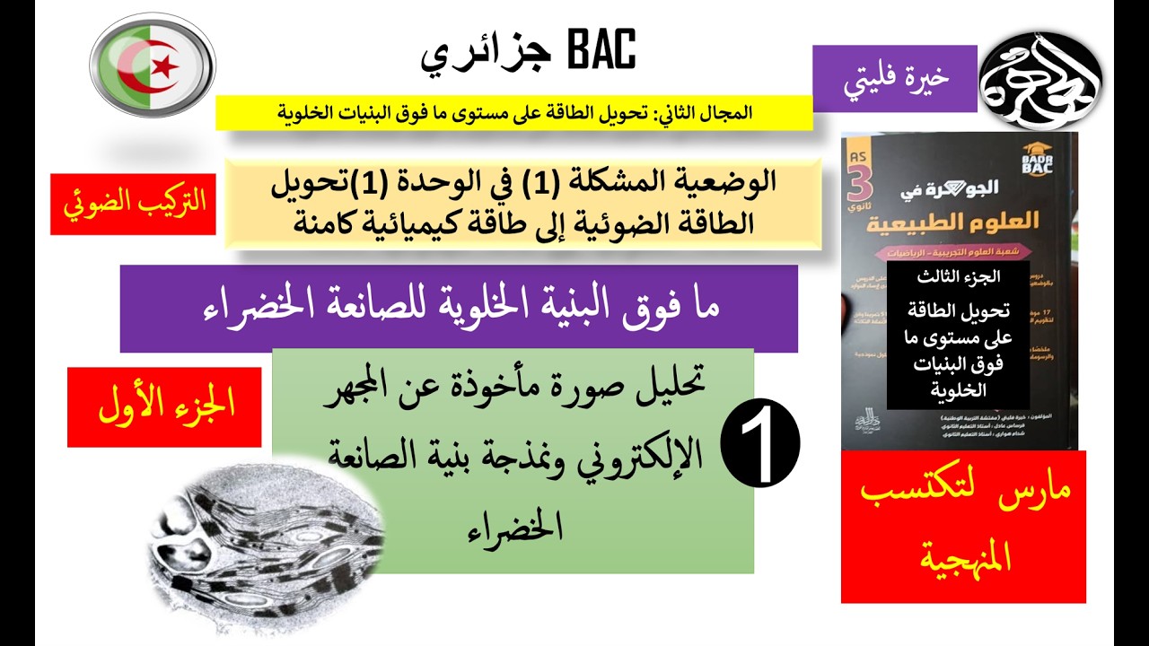 الحلقة 1  دراسة ما فوق بنية الصانعة الخضراء