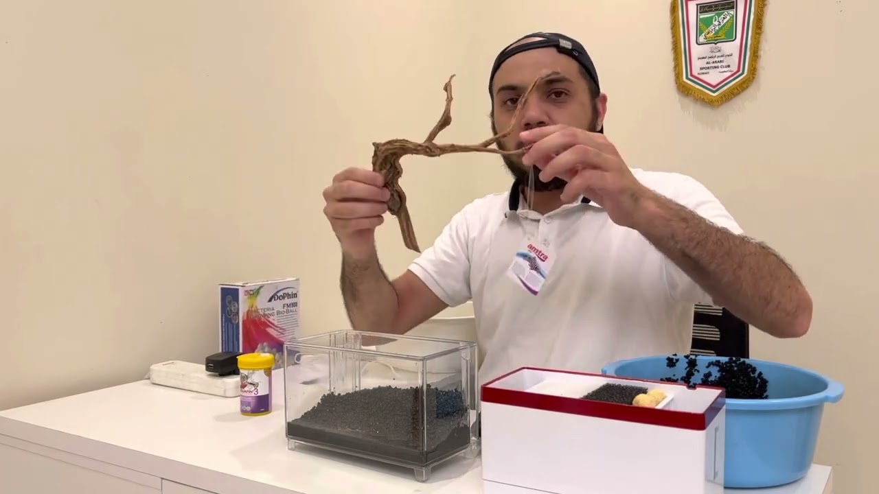 بدايه جديده