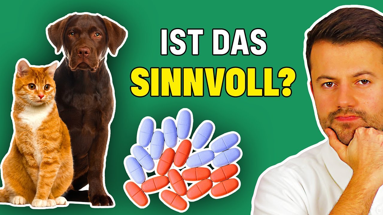 Brauchen Hunde und Katzen Nahrungserg&auml;nzungsmittel? Sind zus&auml;tzliche Vitamine und Minerale sinnvoll?