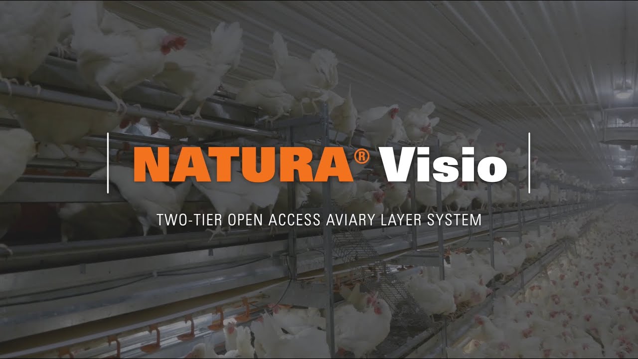 NATURA® Visio Two-Tier True Aviary