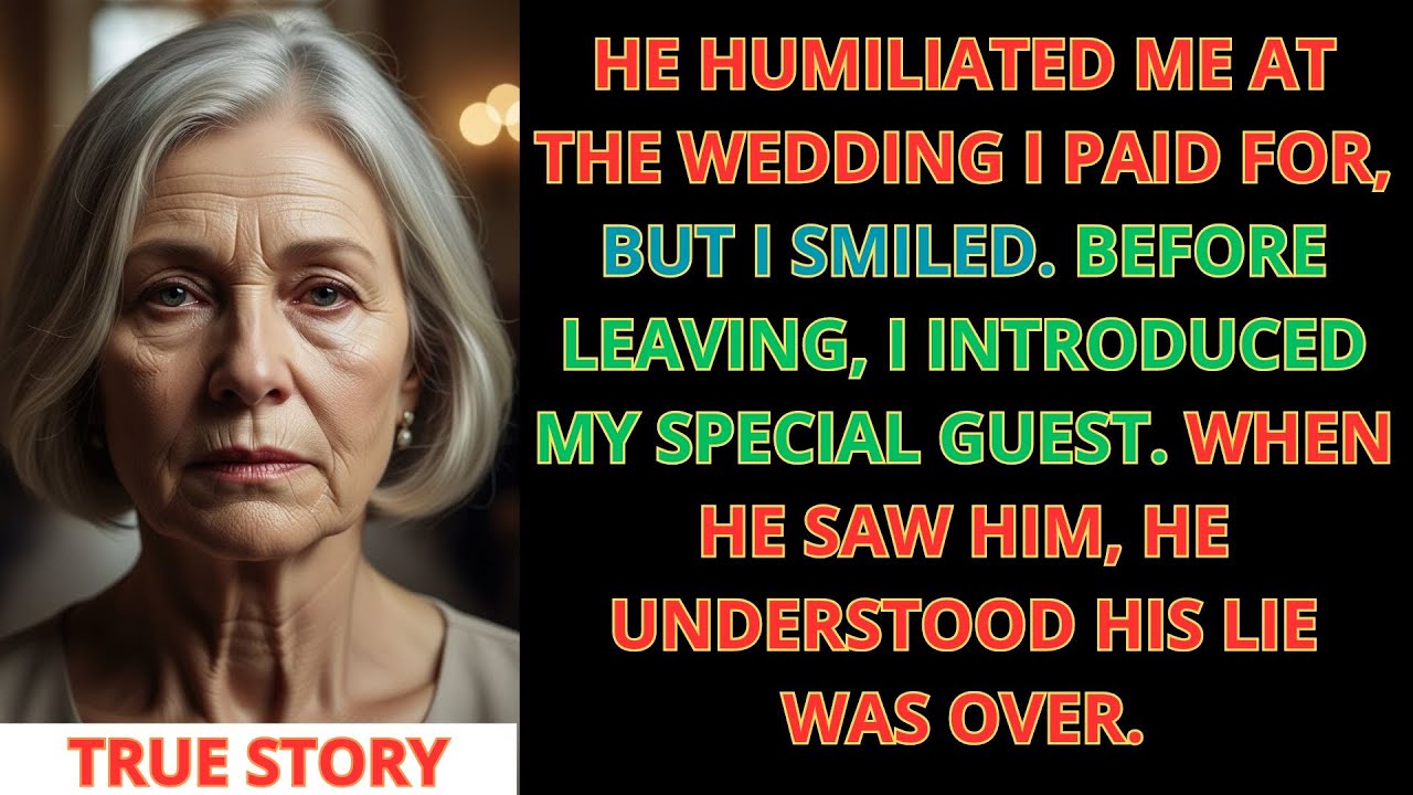 They Humiliated Me at the Wedding I Paid For… Then the Truth Came Out