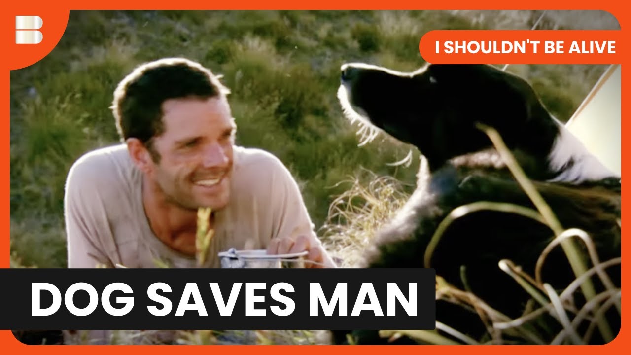 A Dog’s Loyalty in Life-or-Death Crisis - I Shouldn't Be Alive