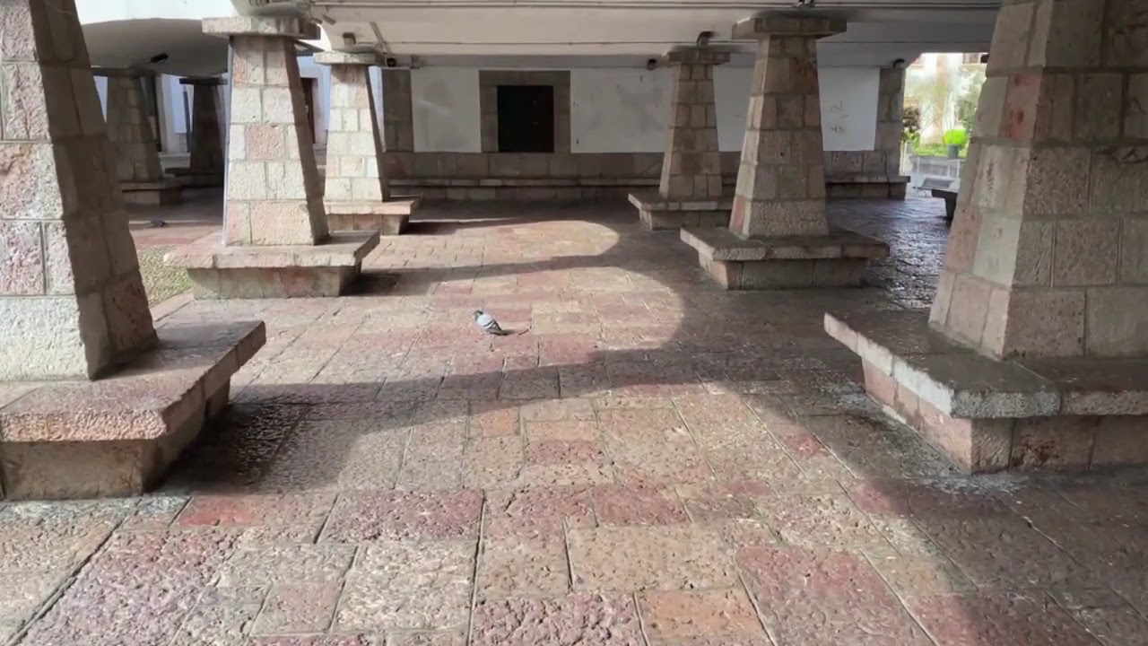 Ins&oacute;lita imagen del Mercado dominical de Cangas de On&iacute;s