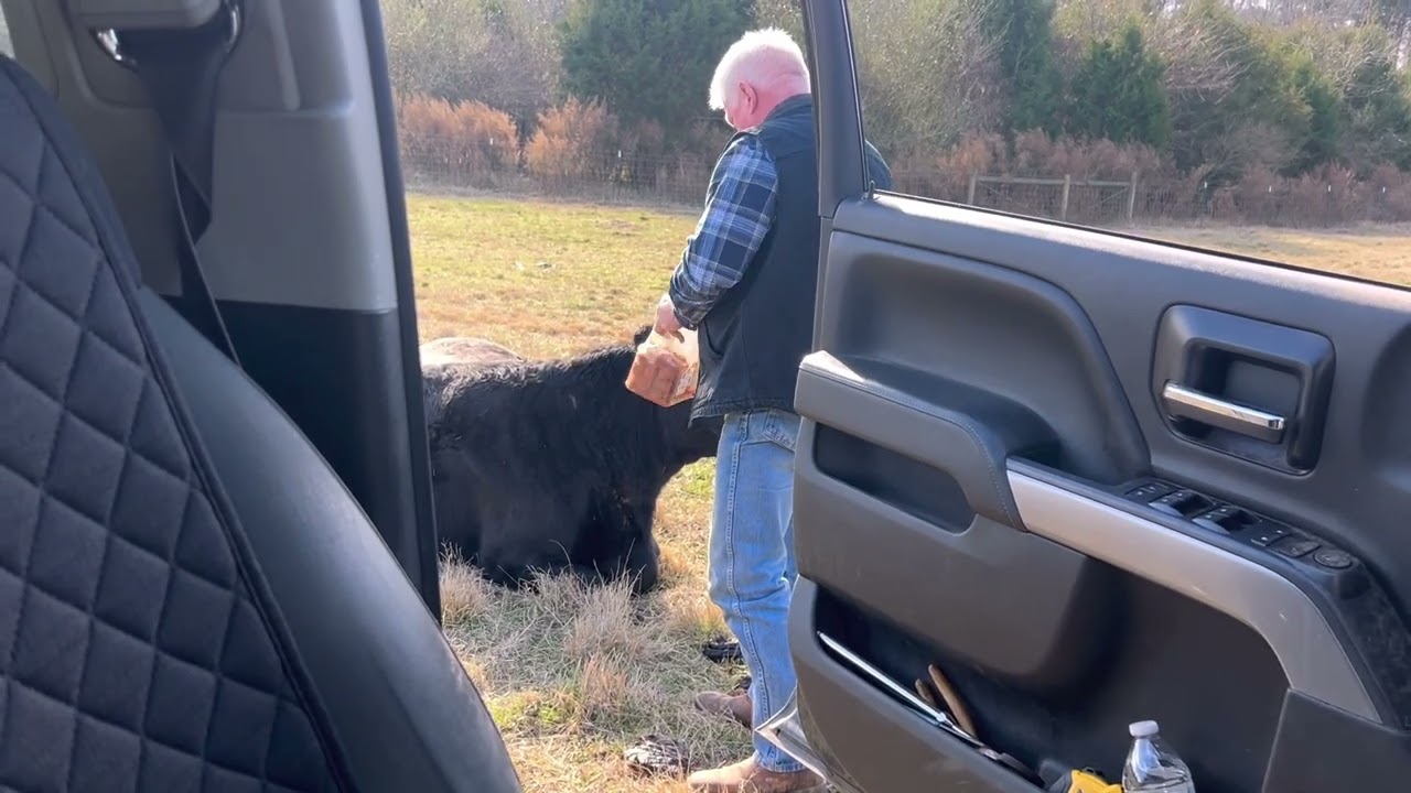 Touring Dozier Sugar Hill Farm 