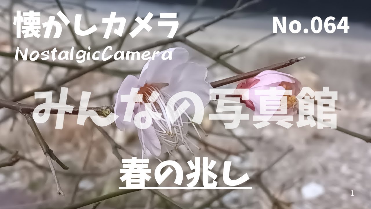 No.064「みんなの写真館」東欧の冬他 2026年1月24日