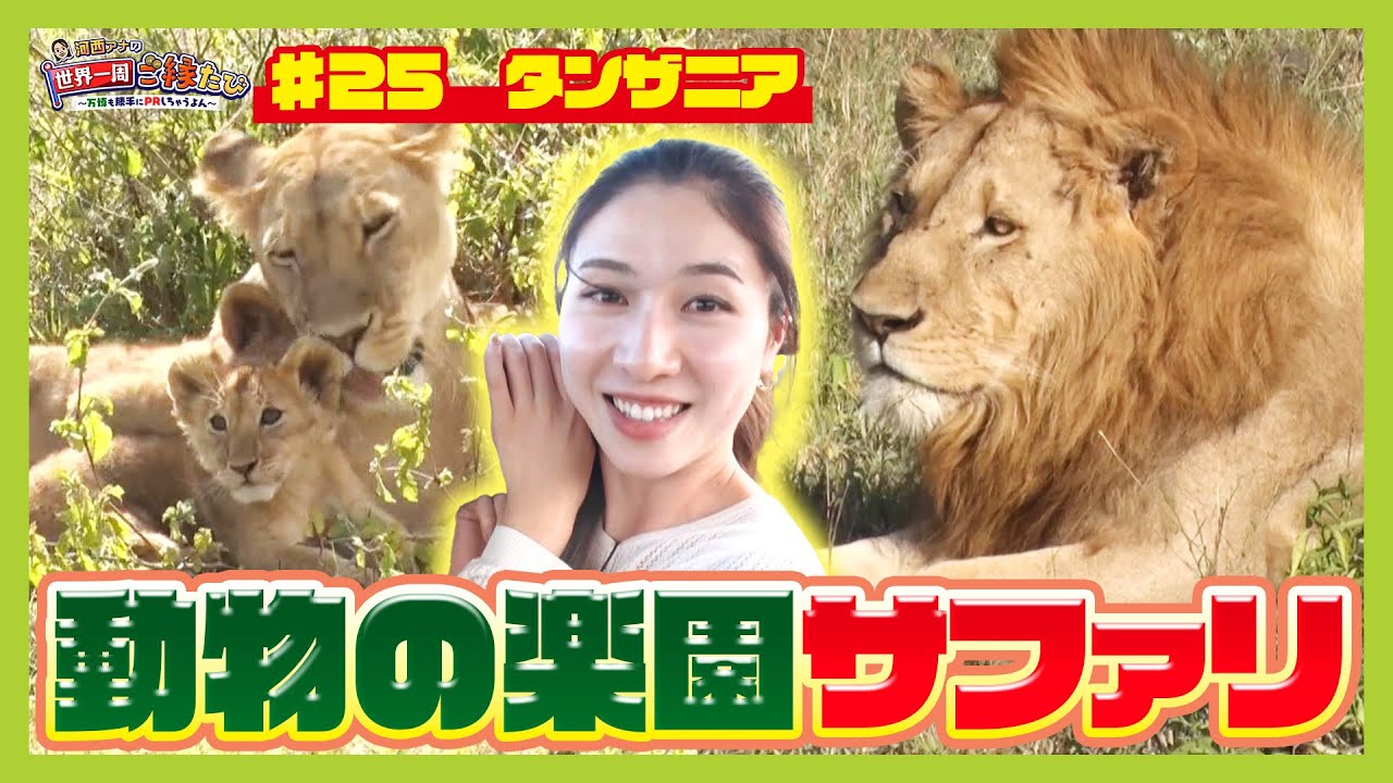 【アフリカ・タンザニア】２万５０００頭の野生動物が暮らす世界遺産「ンゴロンゴロ保全地域」　河西アナはお目当ての動物に会えるのか？【アナウンサー世界一周ご縁たび】（2025年2月19日）