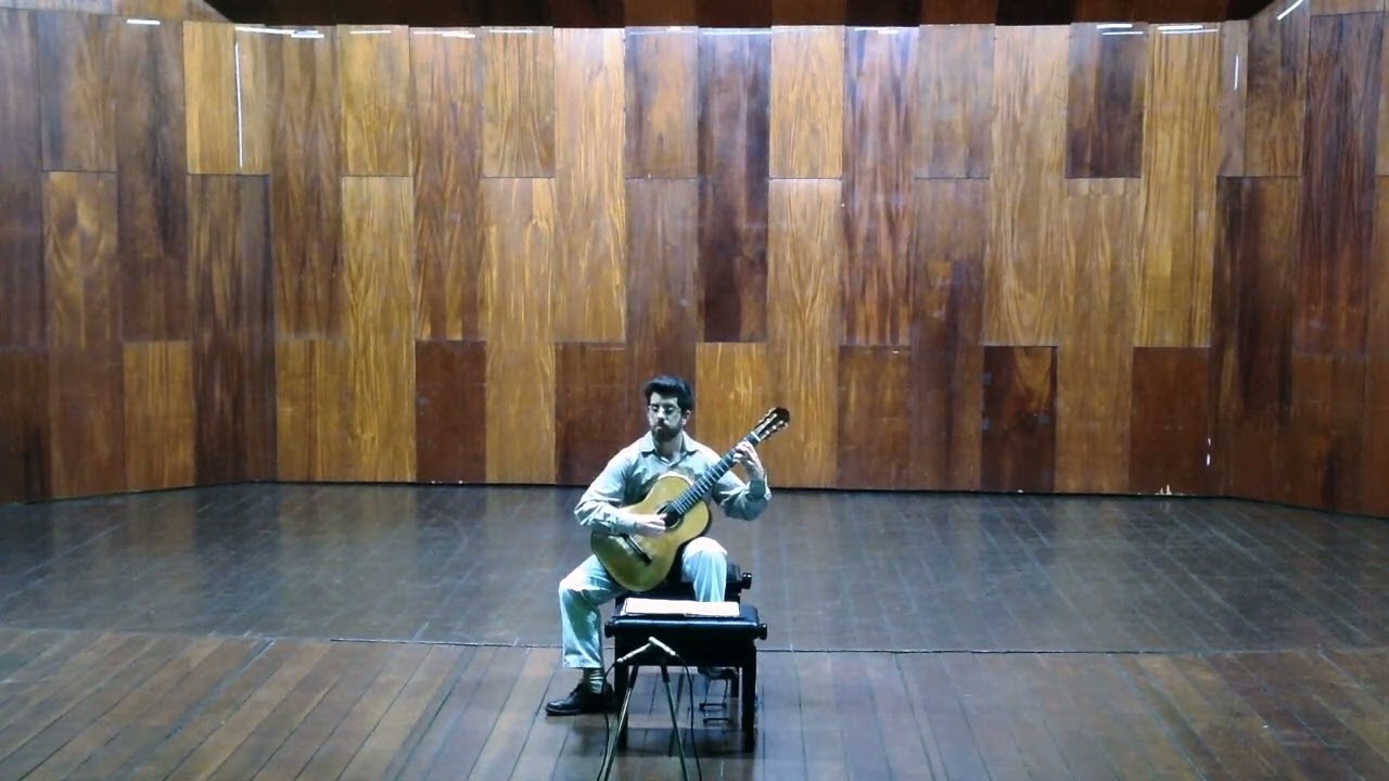 Brescianello - Sonata VII in D major for Gallinchone - Marcos Pablo Dalmacio