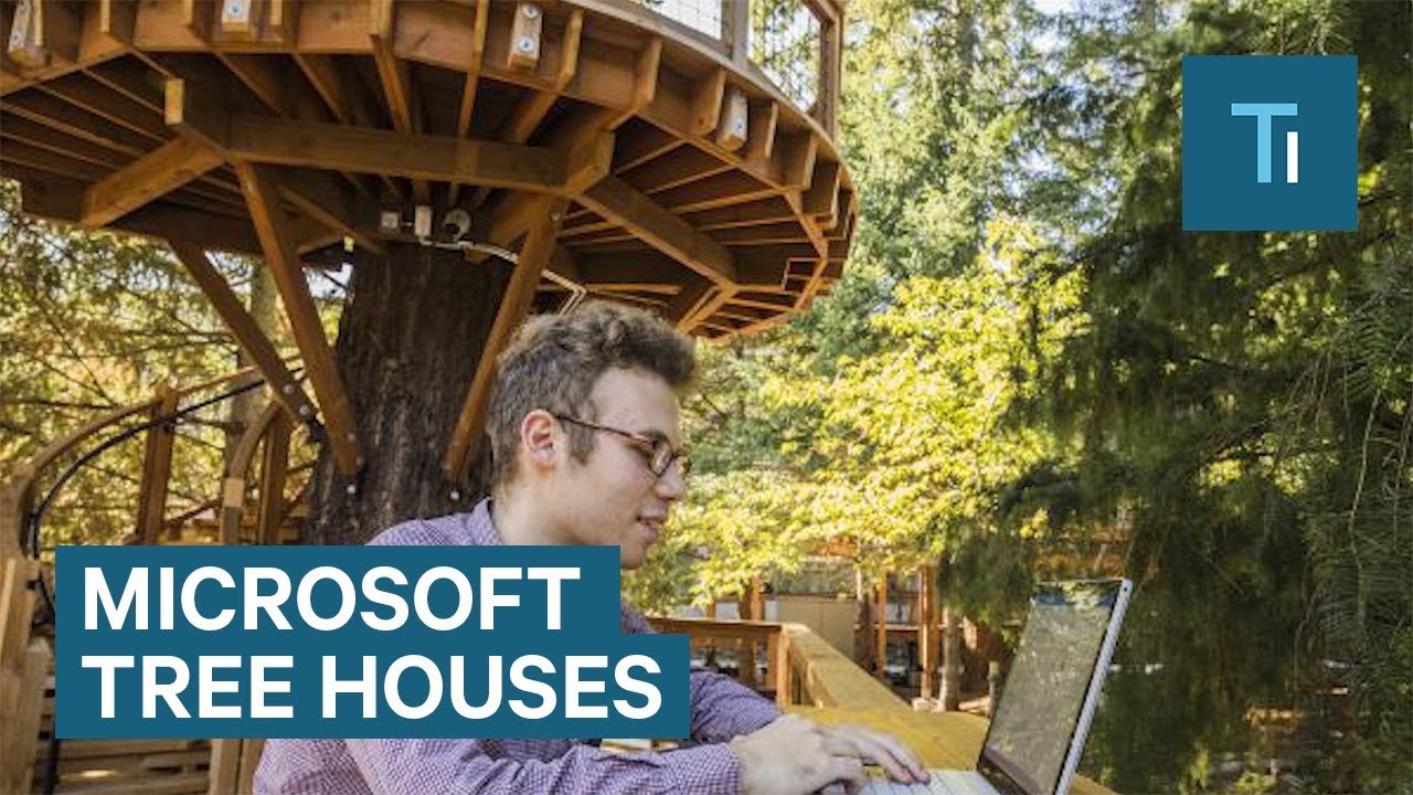 Microsoft's new tree houses are office spaces in the woods