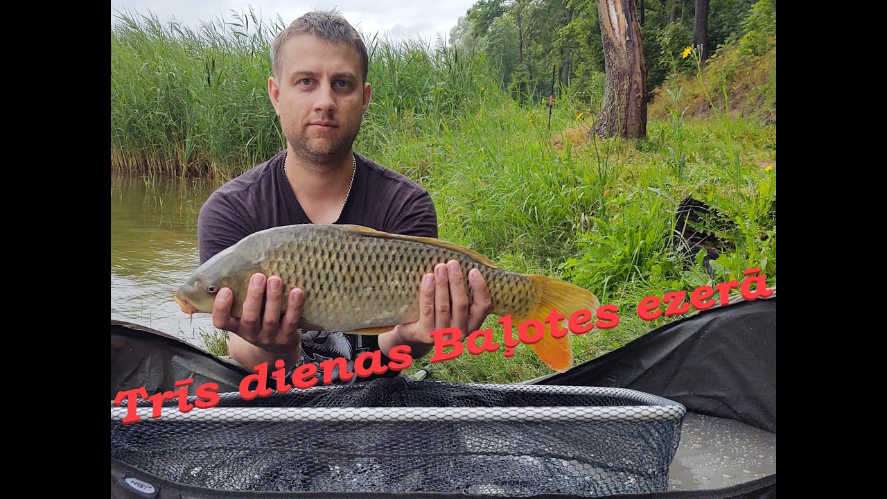 Trīs dienu karpu cope Baļotes ezerā 1.daļa