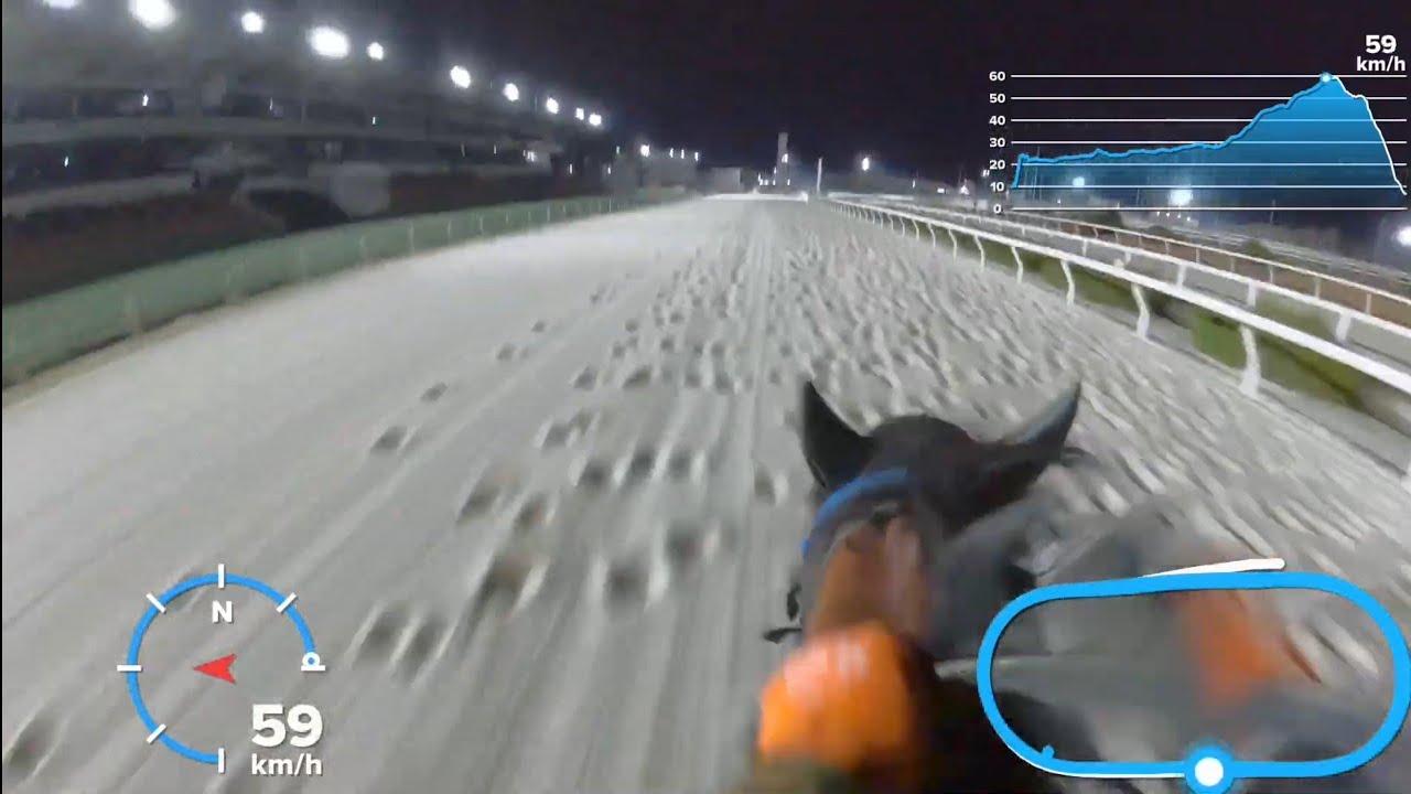 2025/01/31　サクラトップセラー×アカリリッキー　併せ追い切り