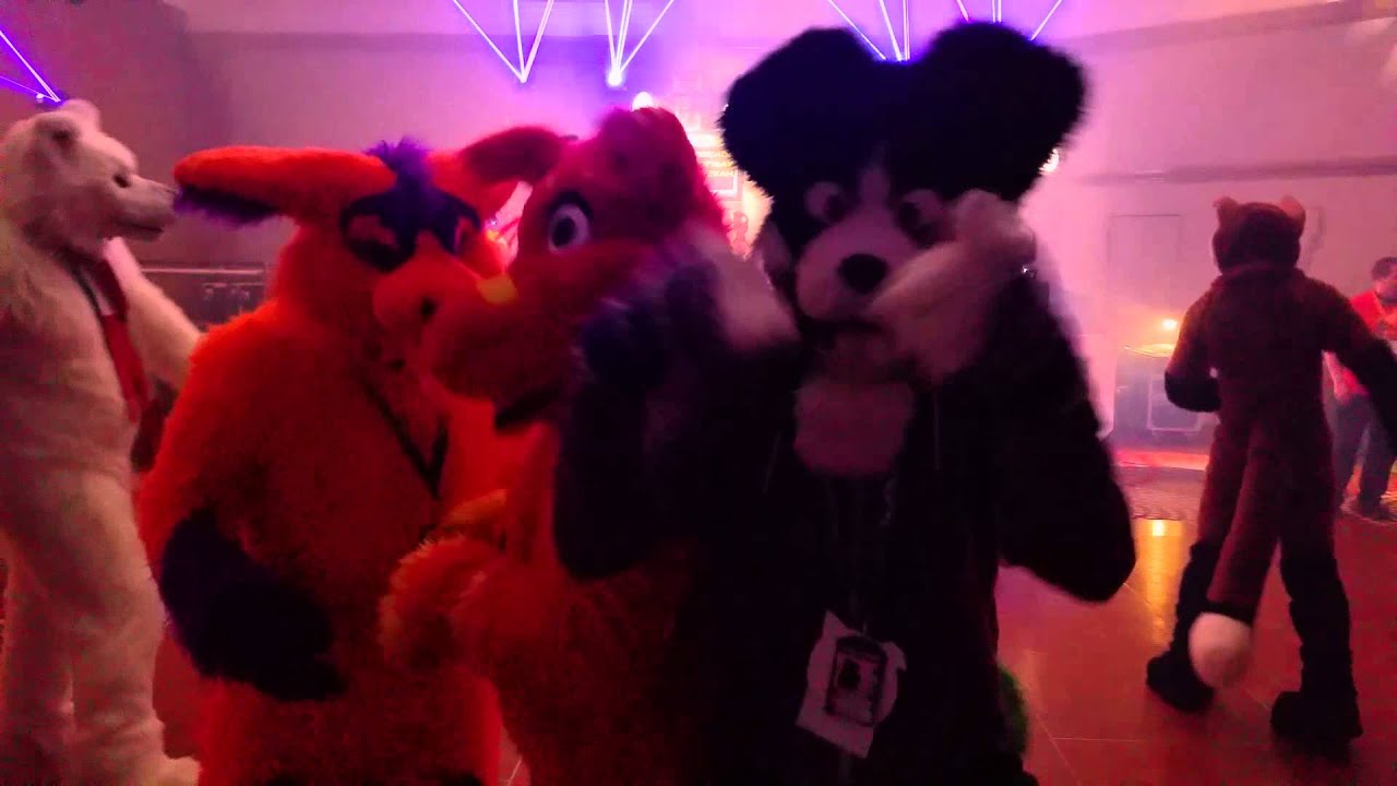 Dead Dog #CFz2015