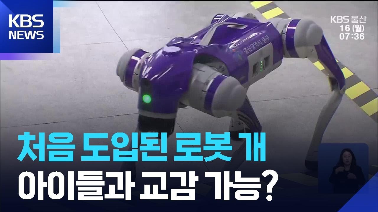 전국 첫 ‘로봇개’ 도입…울산 중구 AI 교육 확대 / KBS  2026.03.16.