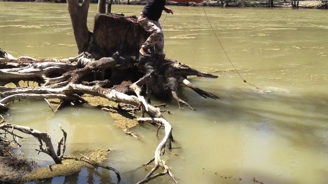 Trip to Barmah lakes