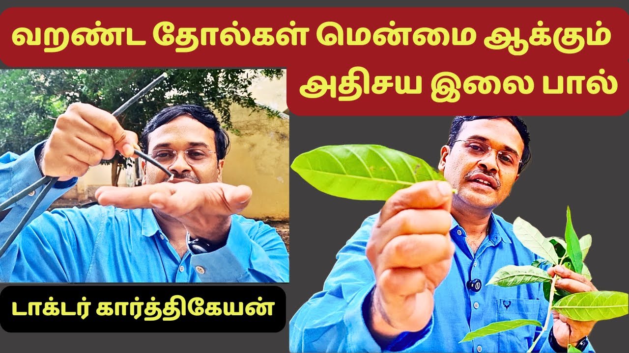 மிகவும் வறண்ட தோல்களை கூட மென்மை ஆக்கும் அதிசய எண்ணெயா இது? skin care hair care oil