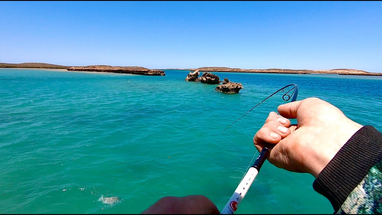 DIDN'T STAND A CHANCE ON LIGHT TACKLE