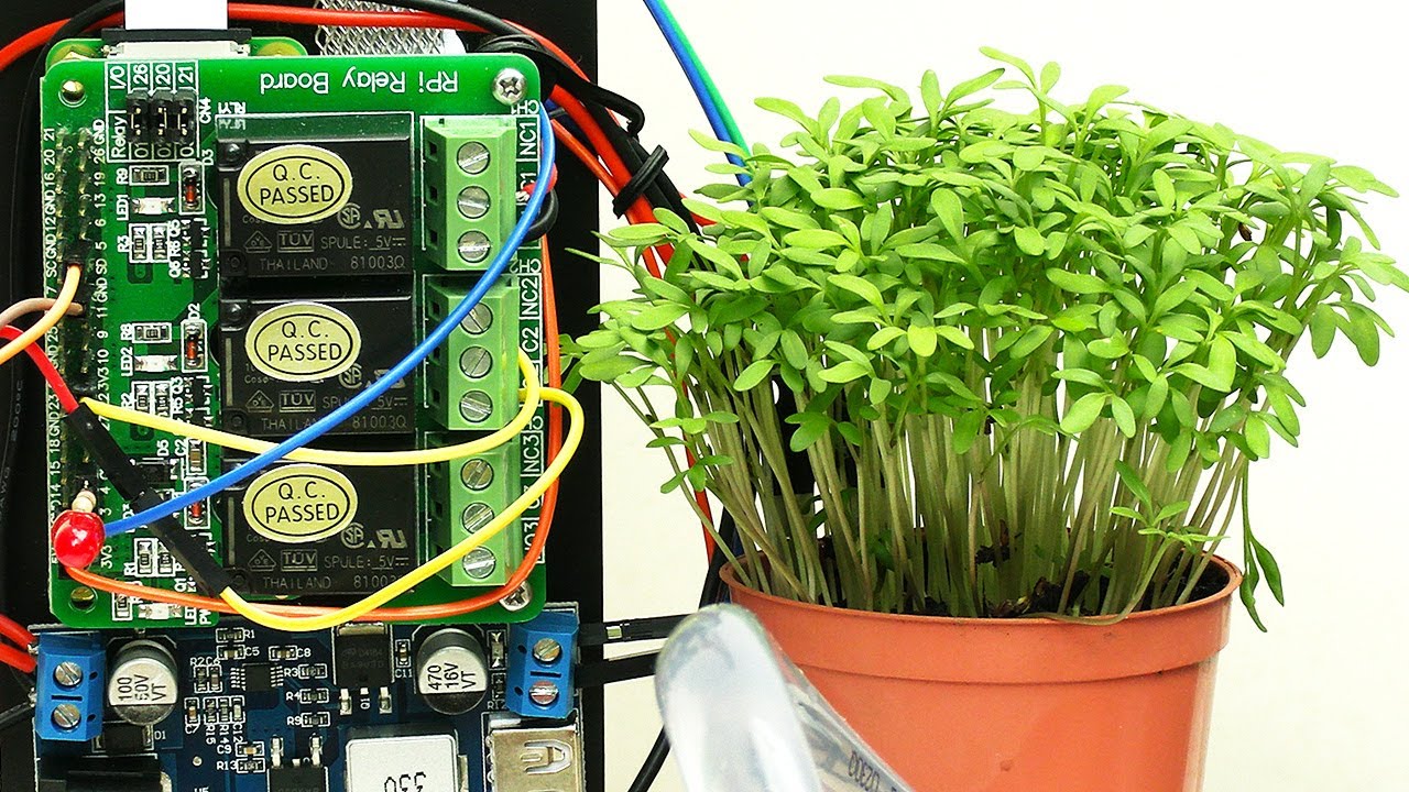 Raspberry Pi Plant Watering (& Time Lapse)